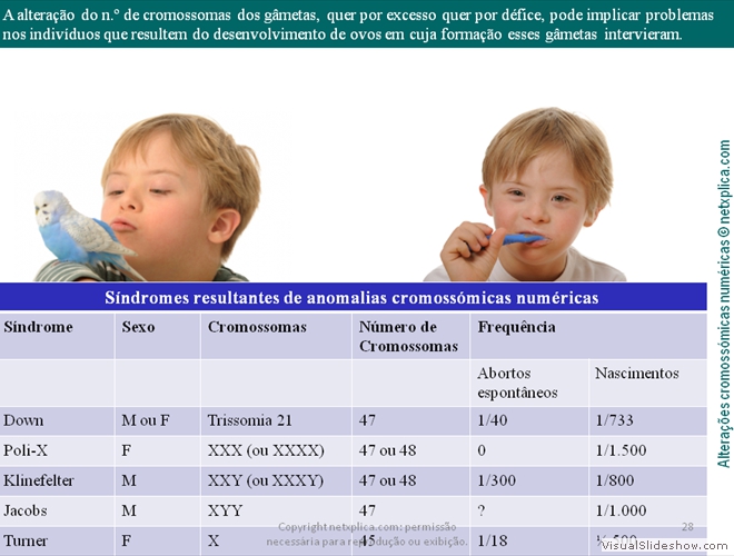 Diapositivo28