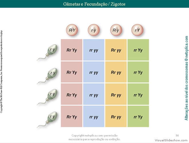 Diapositivo34