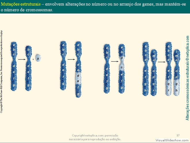 Diapositivo37