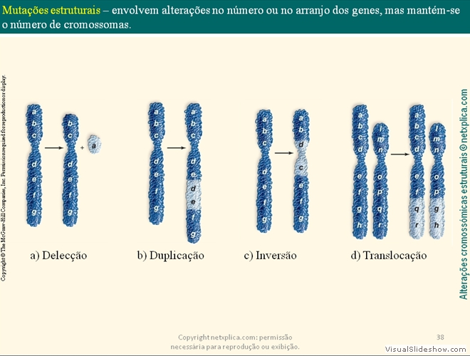 Diapositivo38