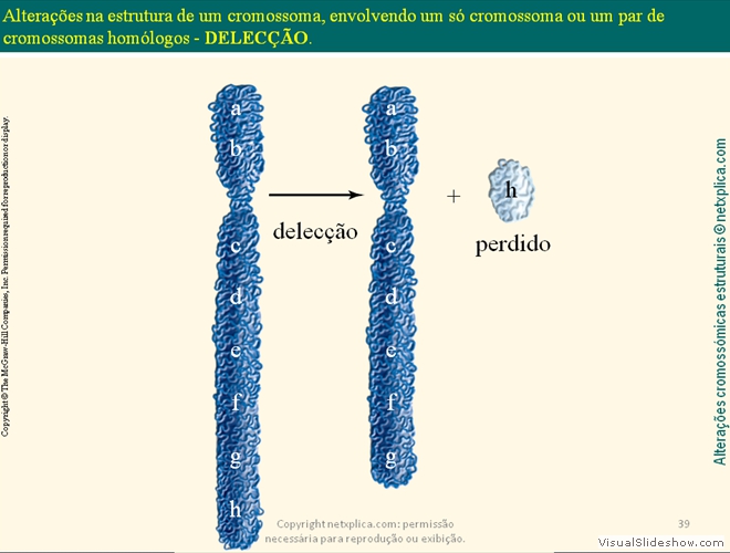 Diapositivo39