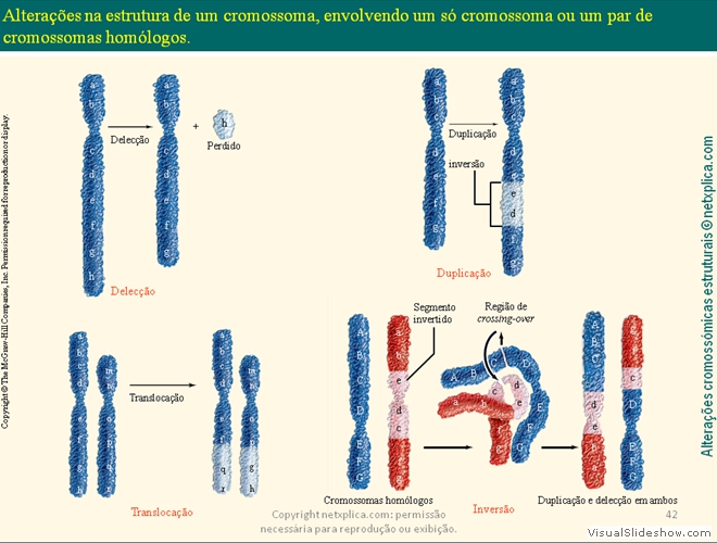 Diapositivo42