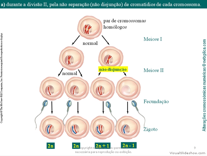 Diapositivo9