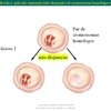Diapositivo16