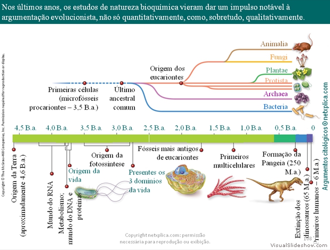 Diapositivo108