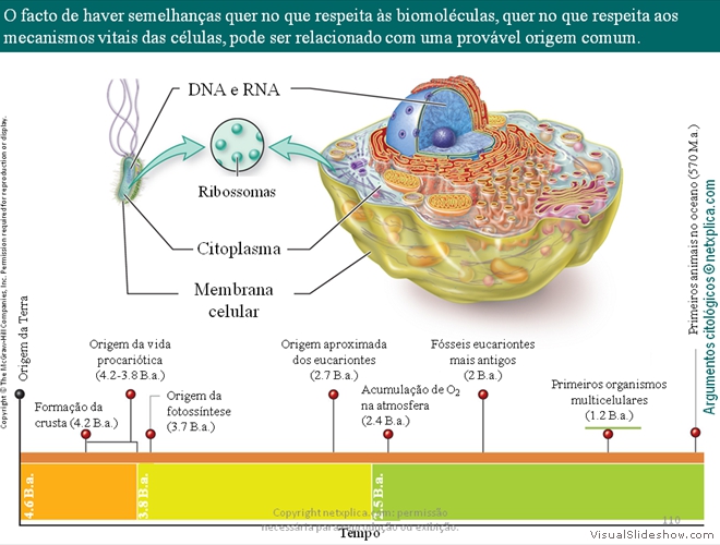 Diapositivo110