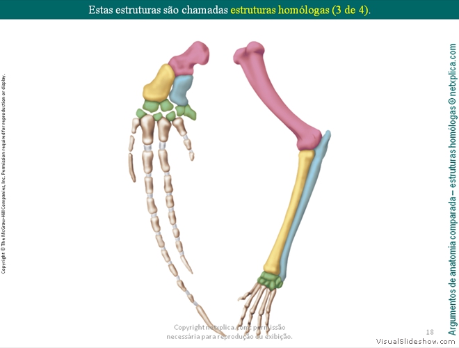 Diapositivo18