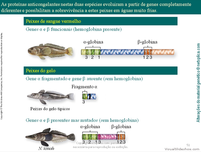 Diapositivo51