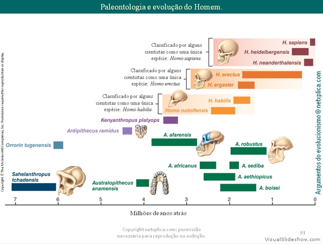 Diapositivo93