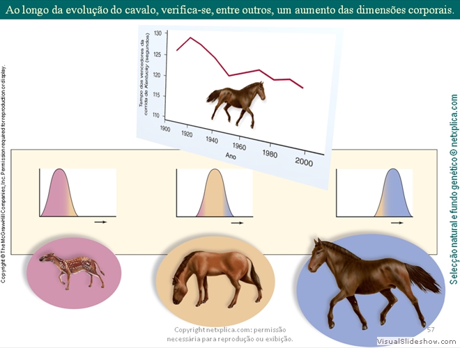 Diapositivo57