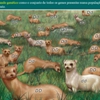 Diapositivo29