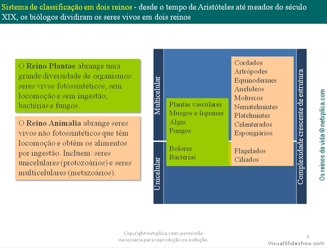 Diapositivo3