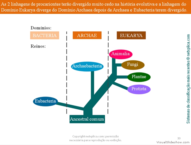 Diapositivo39