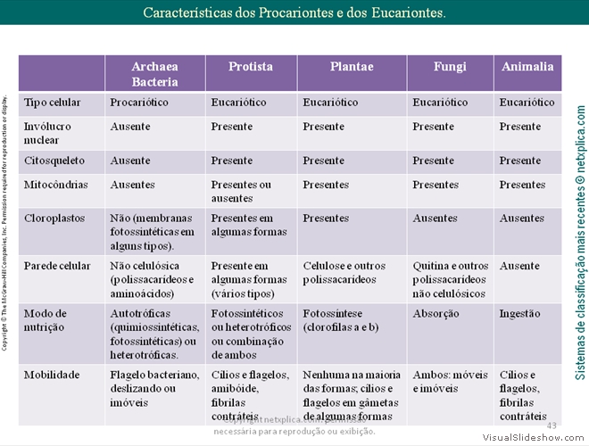 Diapositivo43