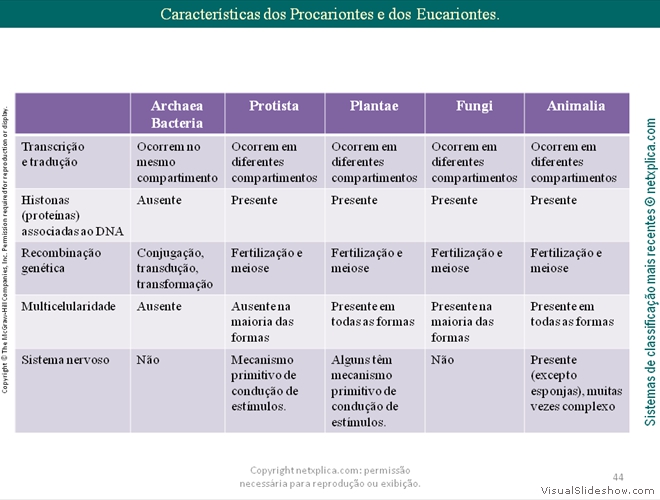 Diapositivo44