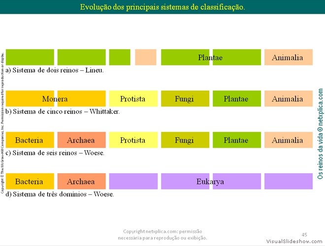 Diapositivo45