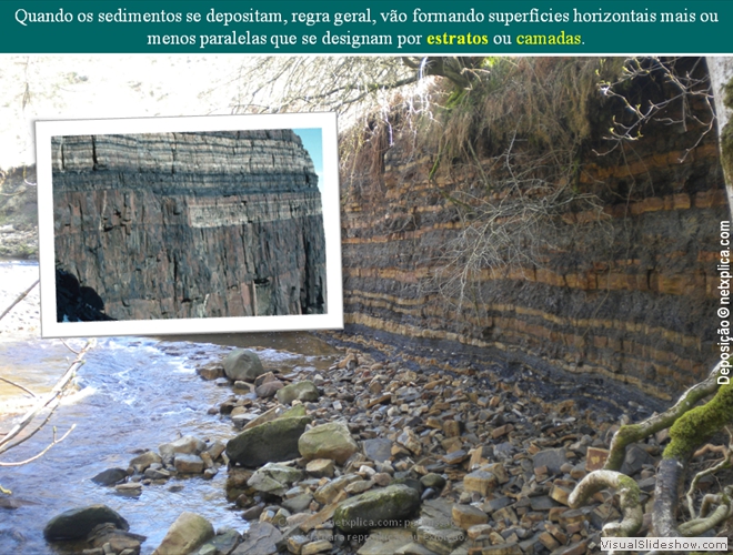 Diapositivo52
