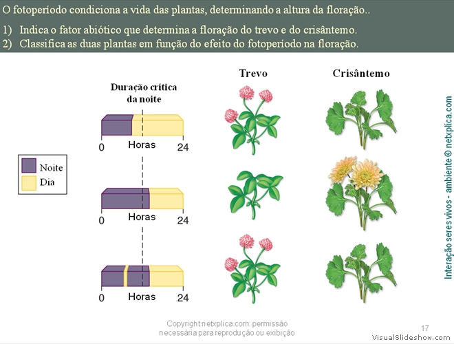 Diapositivo17