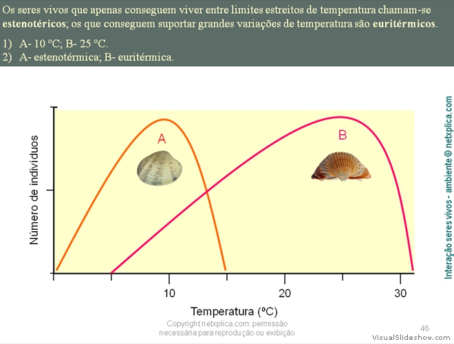 Diapositivo46