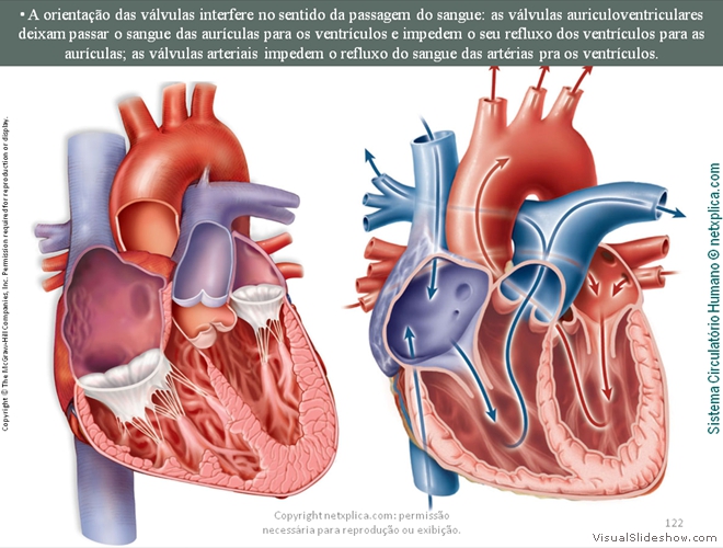 Diapositivo122