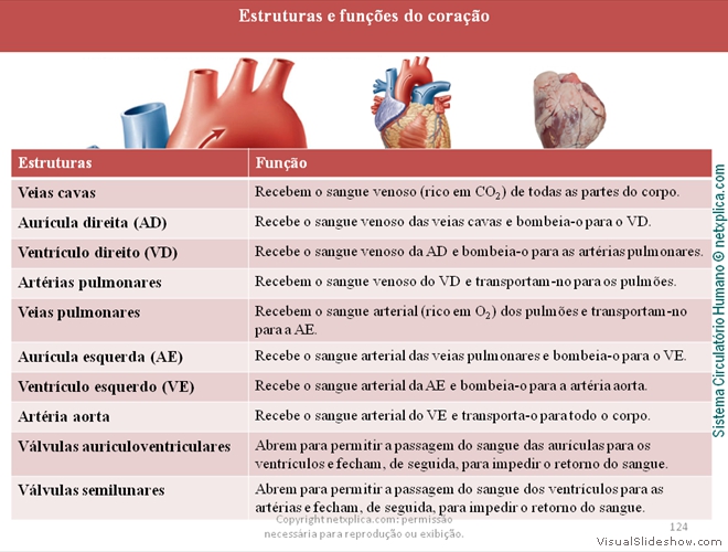 Diapositivo124