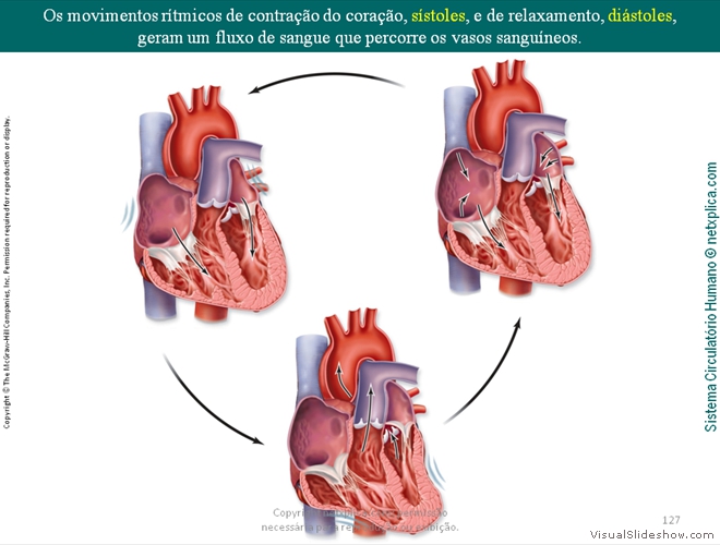 Diapositivo127