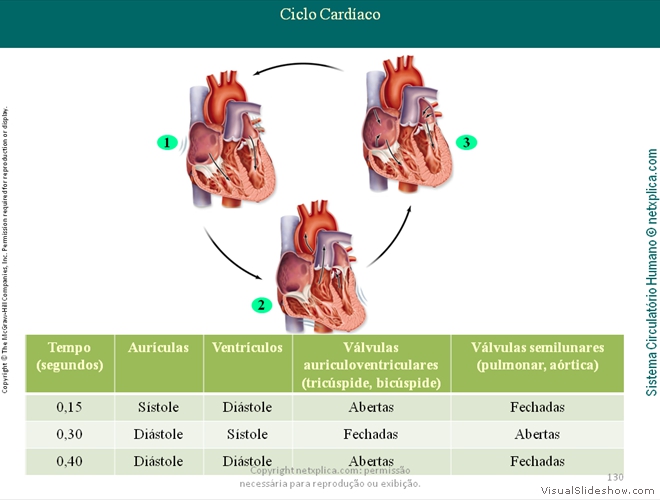 Diapositivo130