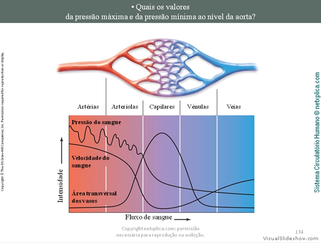 Diapositivo134