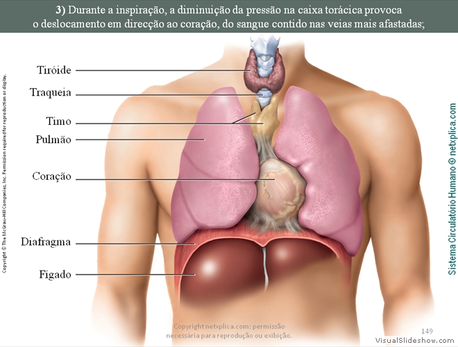 Diapositivo149