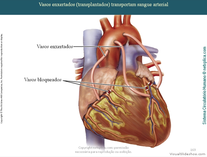 Diapositivo163