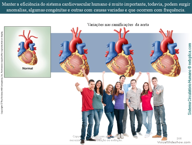 Diapositivo164