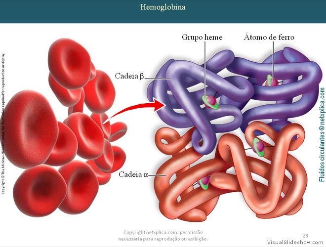 Diapositivo23