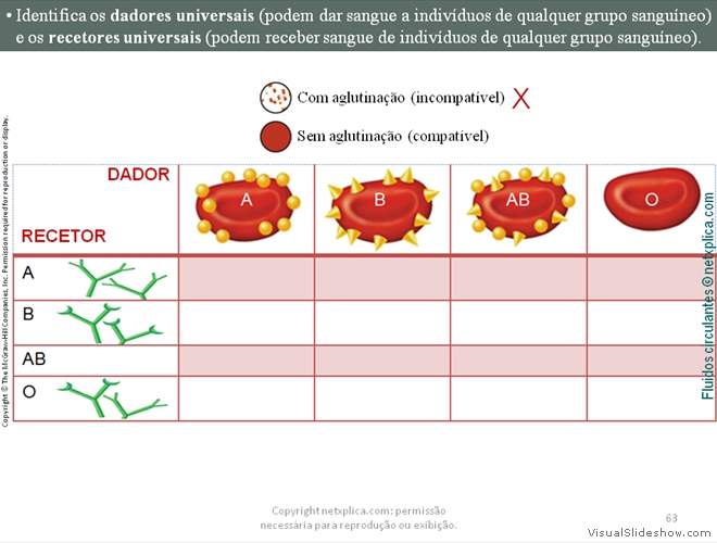 Diapositivo63