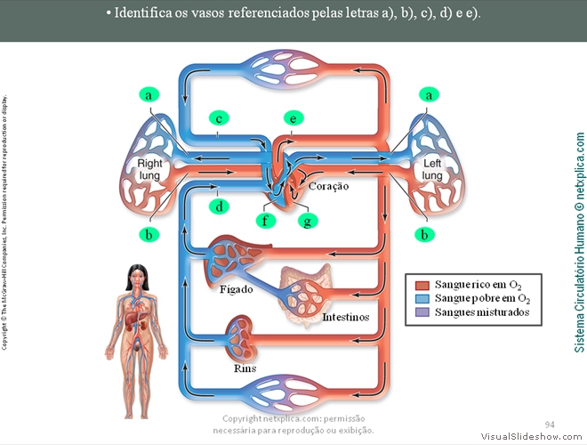 Diapositivo94