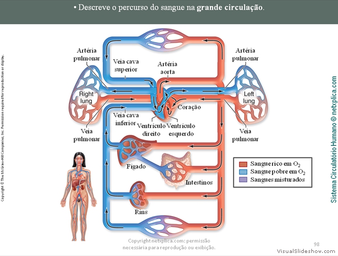 Diapositivo98