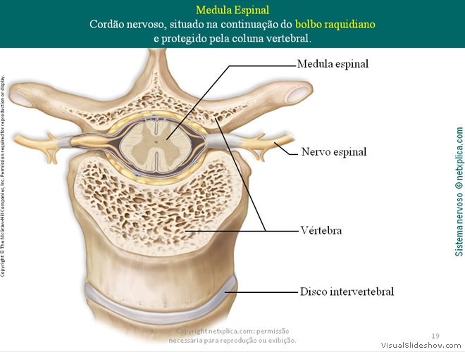 Diapositivo19