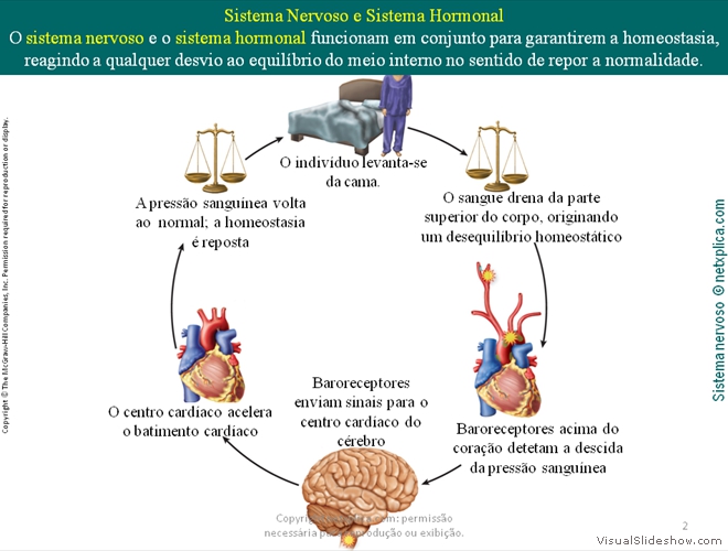 Diapositivo2