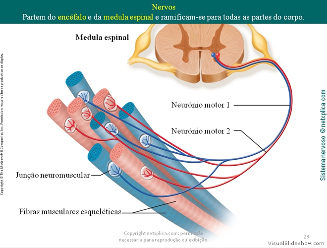 Diapositivo23