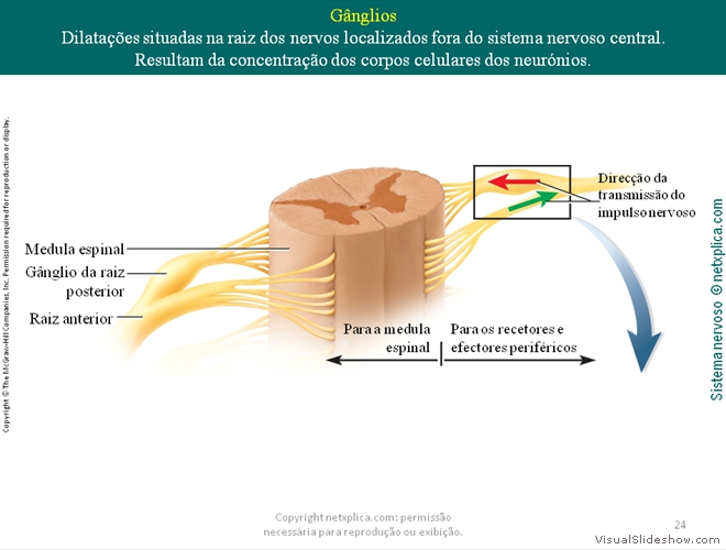 Diapositivo24