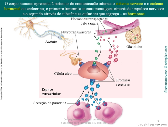 Diapositivo3