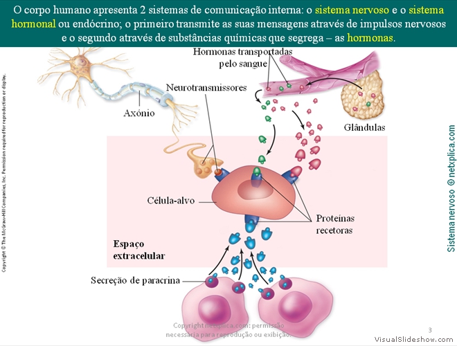 Diapositivo3