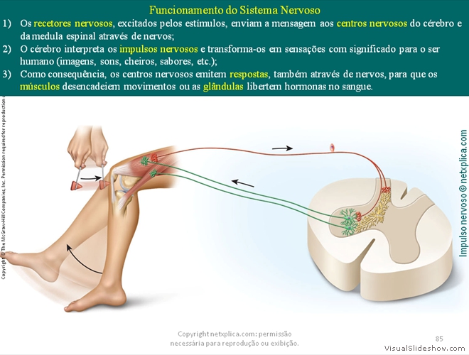 Diapositivo85