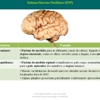 Diapositivo26