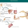 Diapositivo57