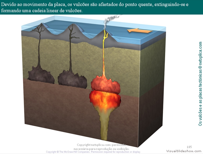 Diapositivo185