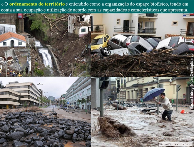 Diapositivo5