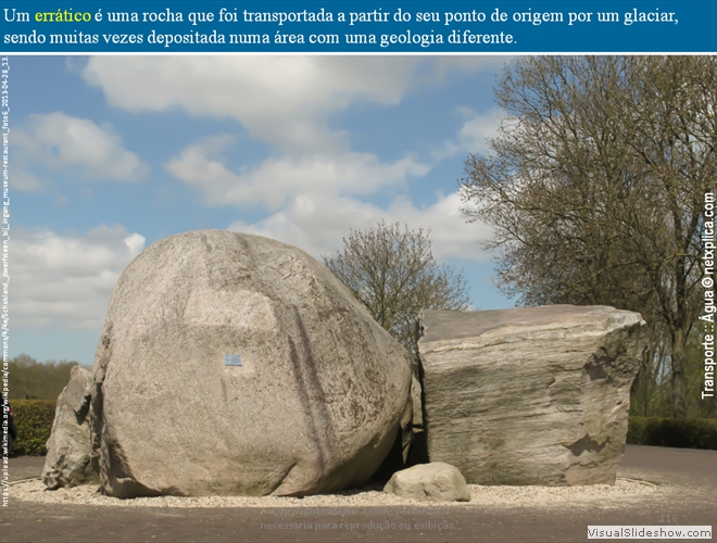 Diapositivo116