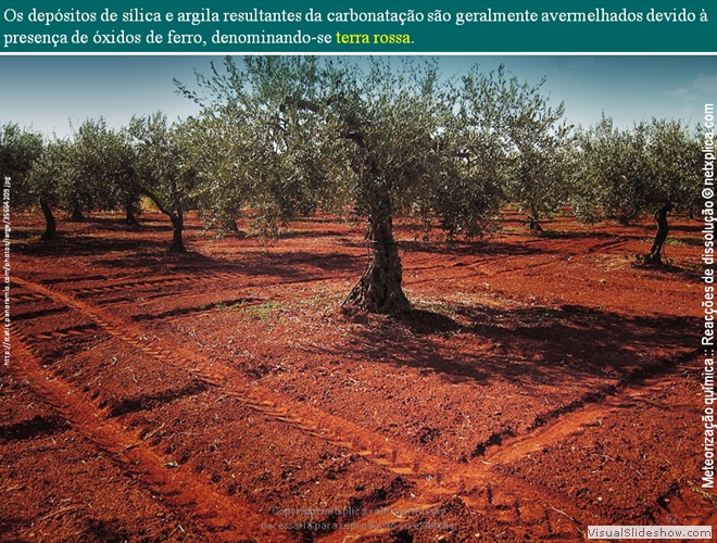 Diapositivo62