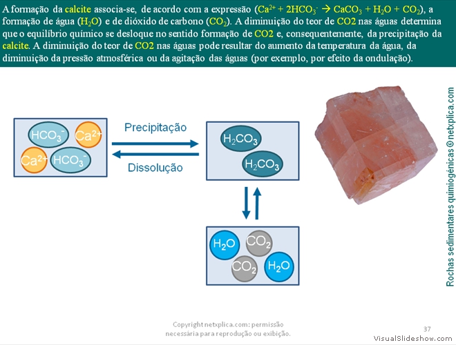 Diapositivo37