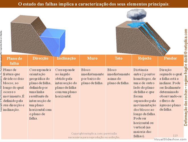 Diapositivo119